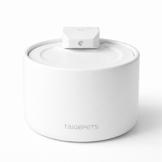 Fontaine à Eau pour Chat en Céramique - Stérilisation UVC Sans Fil