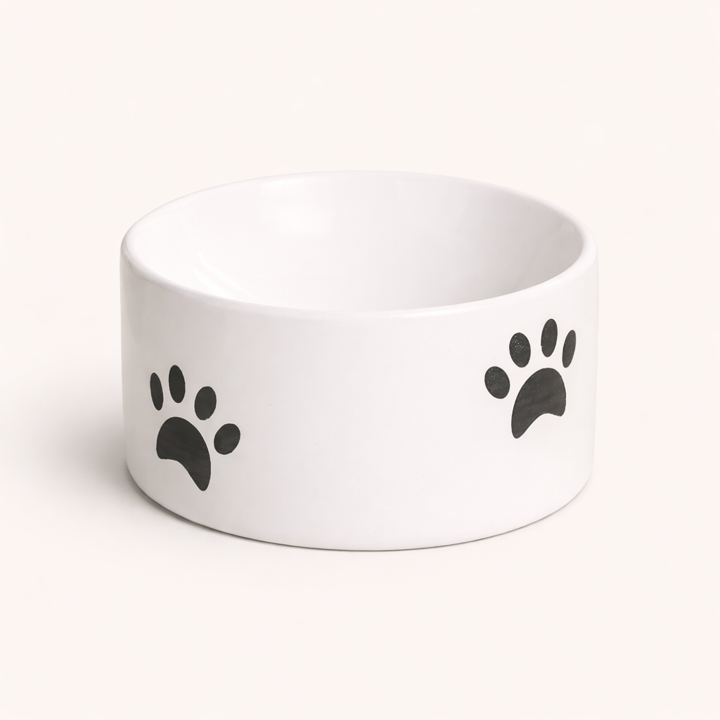 Gamelle Surélevée en Céramique RoyalClaw™