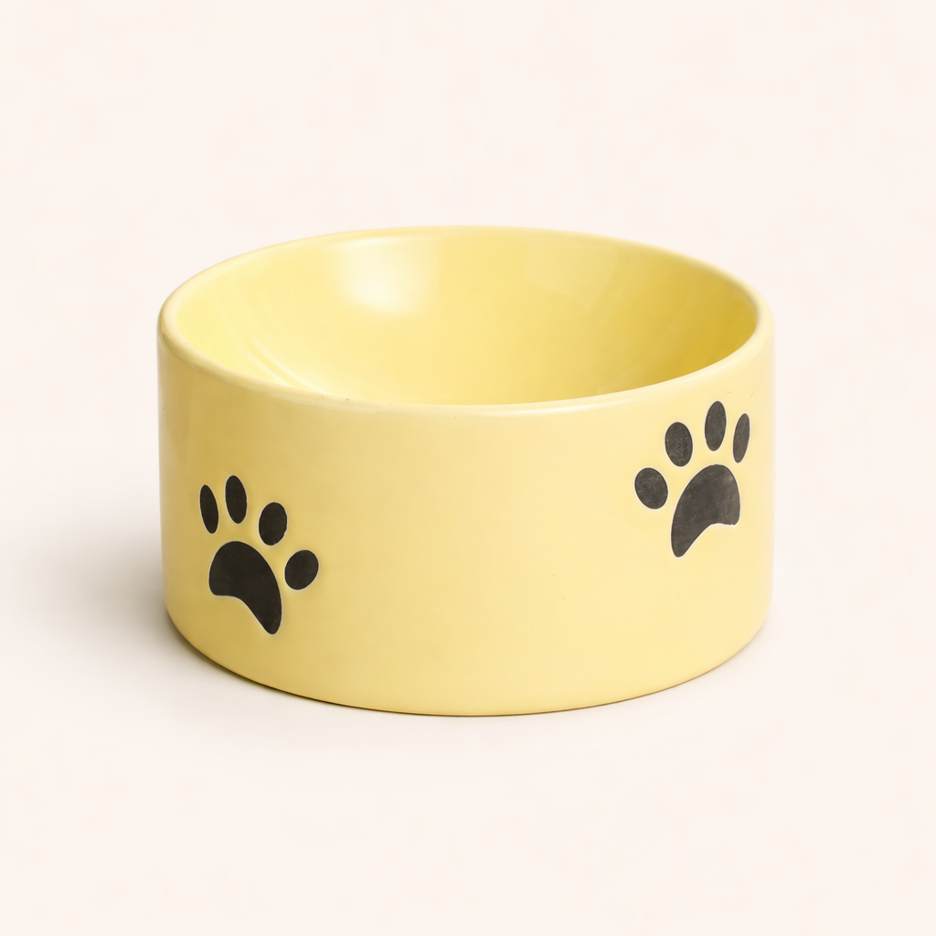 Gamelle Surélevée en Céramique RoyalClaw™