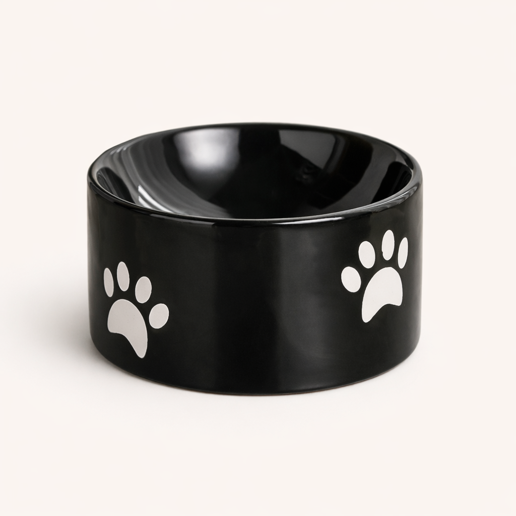 Gamelle Surélevée en Céramique RoyalClaw™