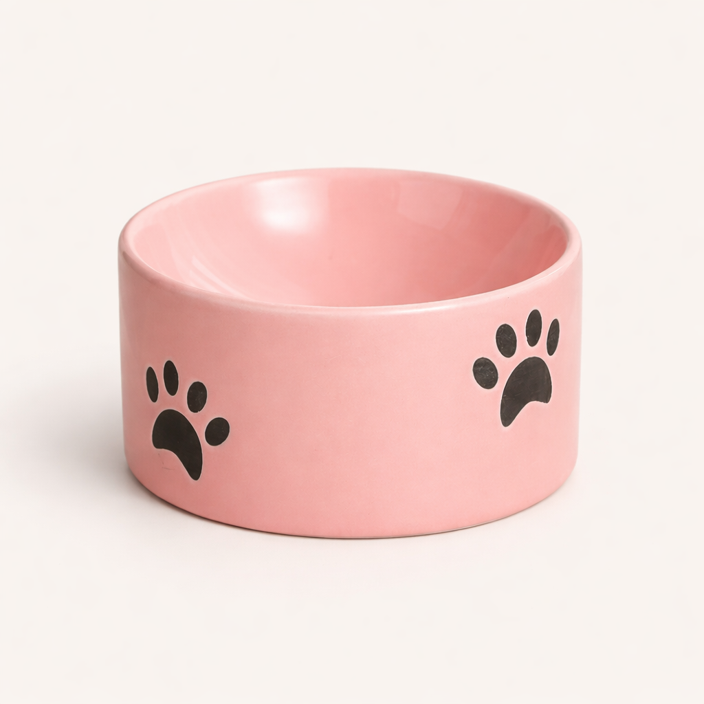 Gamelle Surélevée en Céramique RoyalClaw™