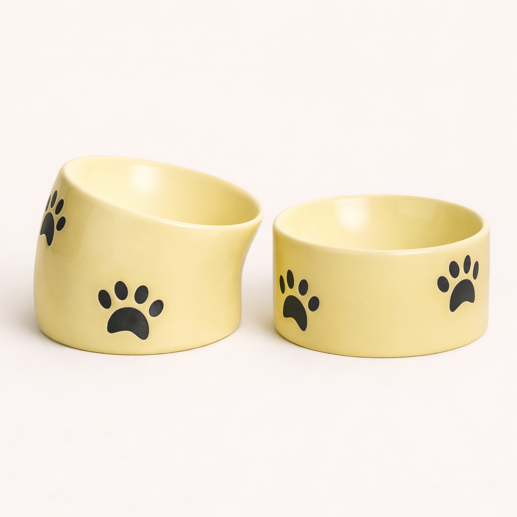 Gamelle Surélevée en Céramique RoyalClaw™ NEYROS