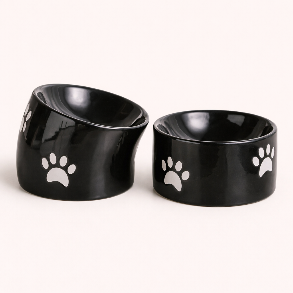 Gamelle Surélevée en Céramique RoyalClaw™ NEYROS